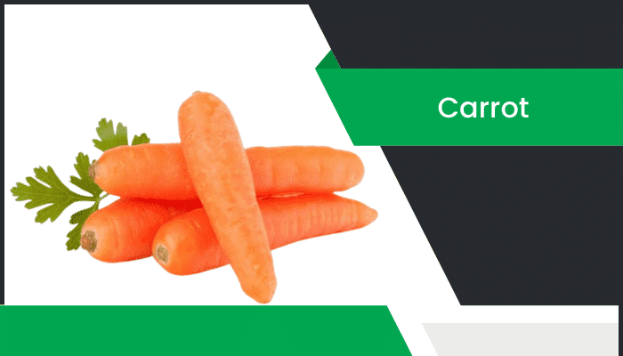 కారెట్ – Carrot Information in Telugu