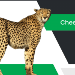 చిరుత – Cheetah Information in Telugu