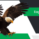 డేగ – Eagle Information in Telugu