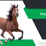 గుర్రం – Horse Information in Telugu