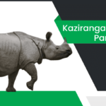 కాజీరంగా జాతీయవనం – Kaziranga National Park Information in Telugu
