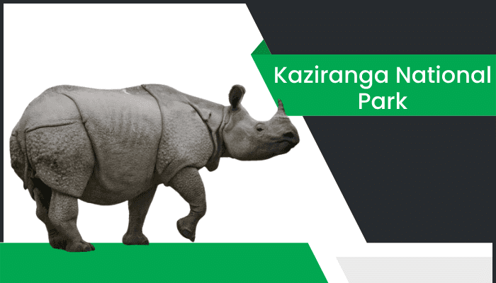కాజీరంగా జాతీయవనం – Kaziranga National Park Information in Telugu