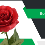 గులాబి – Rose Flower Information in Telugu