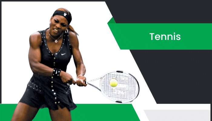 టెన్నిసు – Tennis Information in Telugu