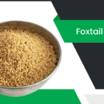 ఫాక్స్ టైల్ మిల్లెట్ – Foxtail Millet Information in Telugu