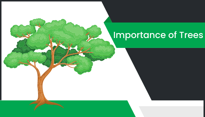 చెట్టు యొక్క ప్రాముఖ్యత తెలుగు వ్యాసం Essay on Importance of Trees in Telugu