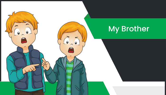 నా సోదరుడు తెలుగు వ్యాసం Essay on My Brother in Telugu