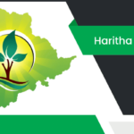 హరితహారం వ్యాసం Haritha Haram Essay in Telugu