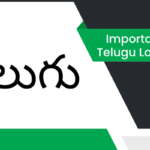 తెలుగు భాష ప్రాముఖ్యత వ్యాసం Importance of Telugu Language Essay in Telugu