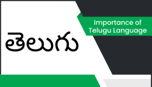 తెలుగు భాష ప్రాముఖ్యత వ్యాసం Importance of Telugu Language Essay in Telugu