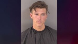 Florida man allegedly sprays deputies, K-9 with bear repellent to evade arrest