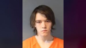 19-year-old man allegedly stabbed brother to death after argument over video game