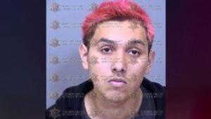 Teen allegedly broke into home, killed owner, then lived with corpse for weeks