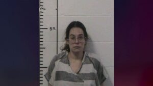 Woman faces stabbing charges months after allegedly attempting to sell her baby