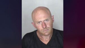 Man gets 4 years in prison for attacking girlfriend and her dog with a machete