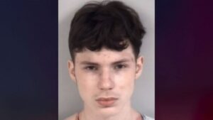 Teen wrestler charged with murder after mom found stabbed in recycling bin